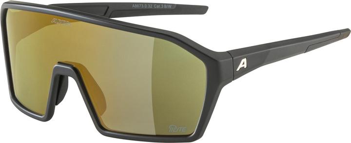 Image du produit ALPINA SPORTS RAM Q-Lite (Noir mat, Or)