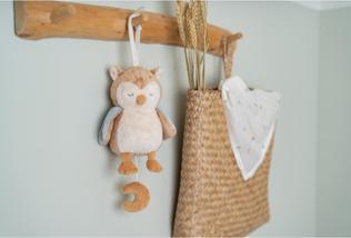 Produktbild Little Dutch Spieluhr Eule Forest Friends