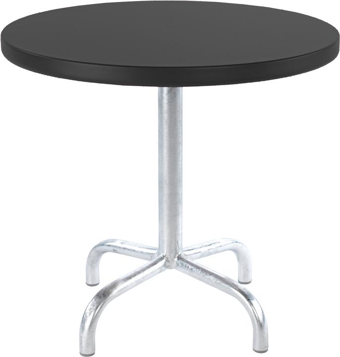 Säntis (54 cm)