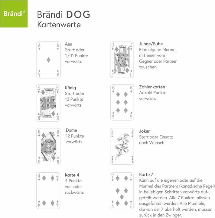 Image du produit Brändi Dog Guide de démarrage rapide