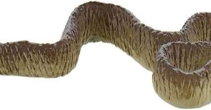 Actual product image Bullyland black mamba