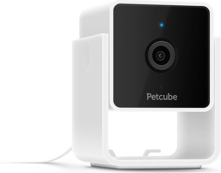 Petcube Pet Camera (Catmint toy)