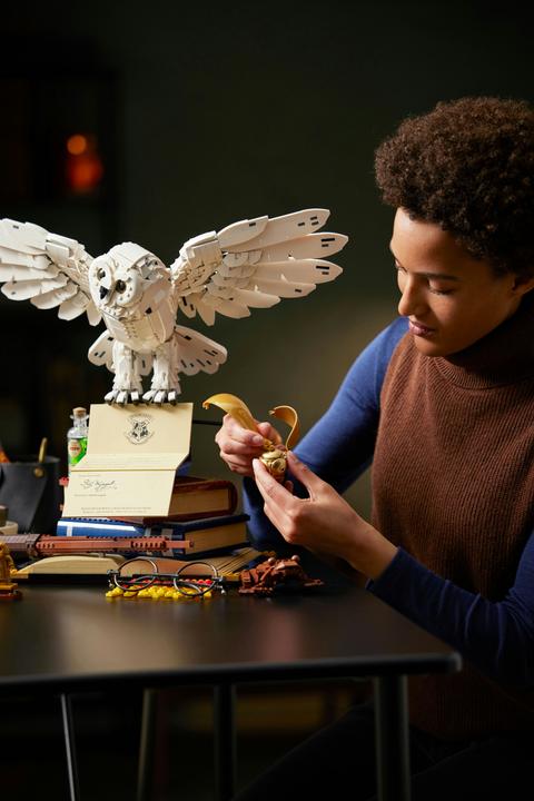 Produktbild LEGO Hogwarts Ikonen - Sammler-Edition (76391, LEGO Harry Potter, LEGO Seltene Sets)