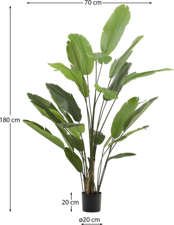 Actual product image Kave Home Banano (210 cm)