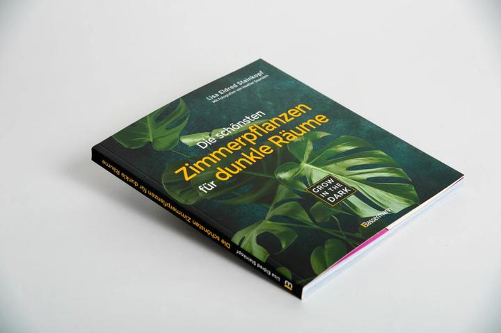 Produktbild Grow in the Dark - Die schönsten Zimmerpflanzen für dunkle Räume und Plätze. Beleuchtung, Düngung (Deutsch, Lisa Eldred Steinkopf, 2020)