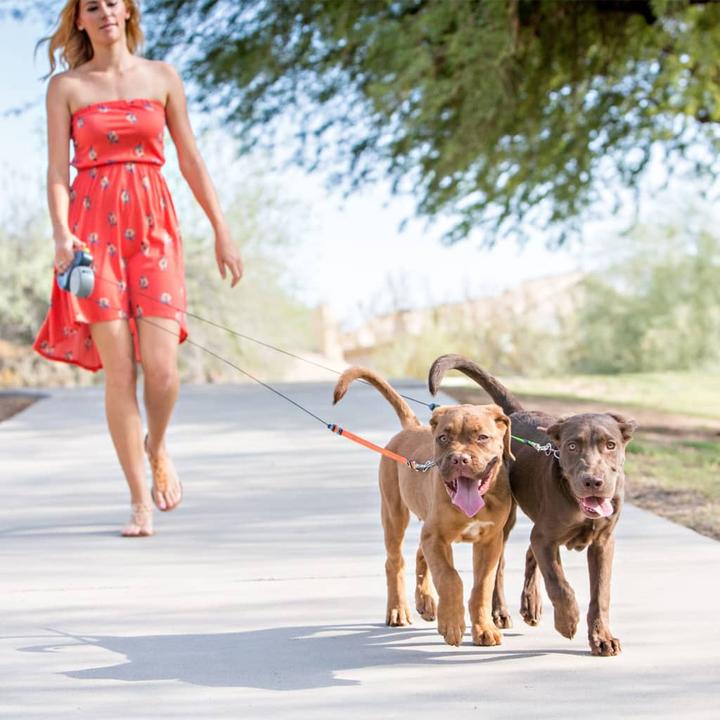 Actual product image Wigzi Dog Leash Dual Doggie 2.0 Grey (One size, Dog, General)
