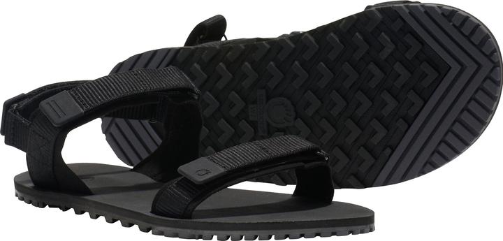 Actual product image Xero Shoes D-Trail (41.5)