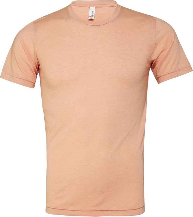 Bella Canvas Erwachsene TriBlend TShirt