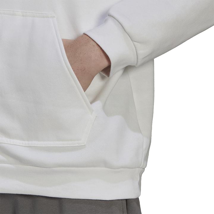 Produktbild adidas Entrada 22 Kapuzenpullover Herren (M)