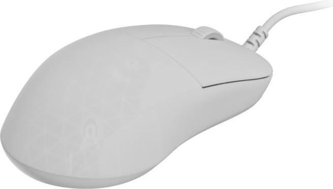 Produktbild Endgame Gear XM2 8k Gaming Maus, kabelgebunden - White Frost (Kabelgebunden)