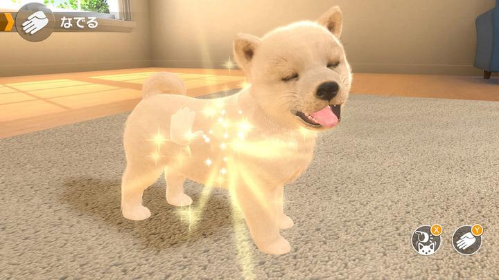 Actual product image Sold Out Little Friends: Dogs & Cats (Switch, DE)