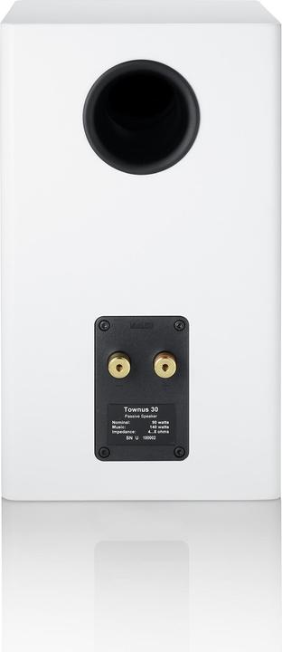 Actual product image Canton Townus 30 (1 pcs., 140 W)