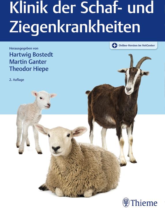 Actual product image Klinik der Schaf- und Ziegenkrankheiten (German, Hartwig Bostedt, Theodor Hiepe, 2021)