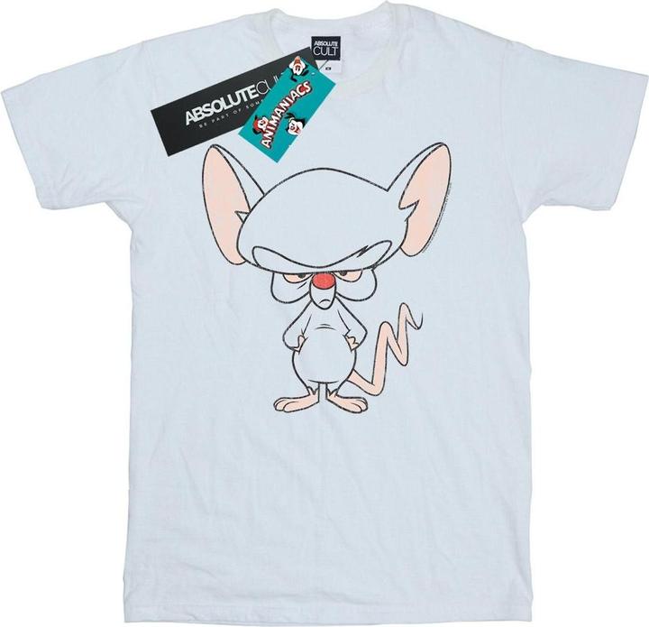 Actual product image Universal Textiles Womens/Ladies The Brain Classic Pose Cotton Boyfriend T-Shirt (3XL)