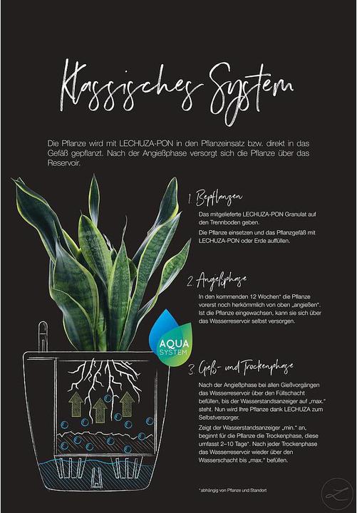 Produktbild Lechuza Classico (22 cm)