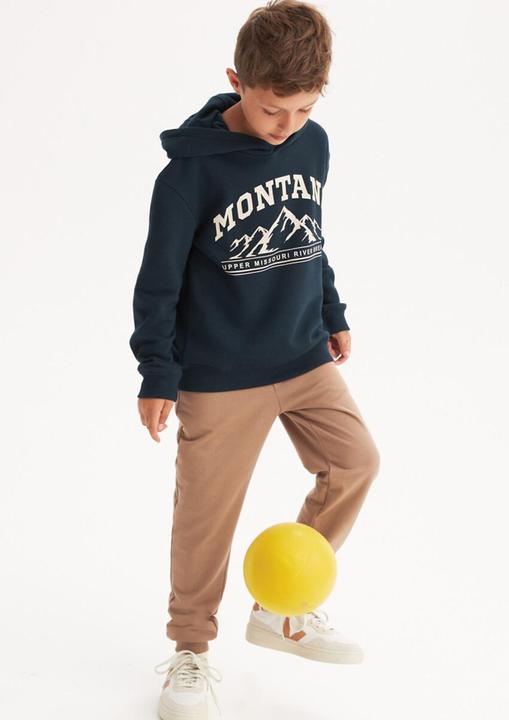 Actual product image La Redoute Collections Hooded sweatshirt mountains (102)