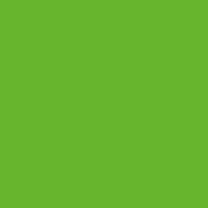 Immagine prodotto VBS Vernice acrilica, 250 ml (Luce verde permanente, 250 ml)