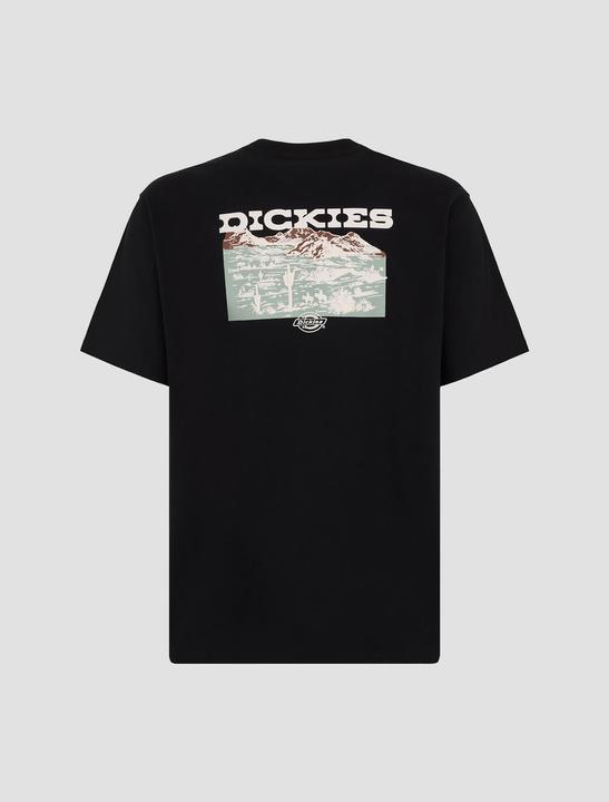 Image du produit Dickies Landascape Ss Tee Black (L)