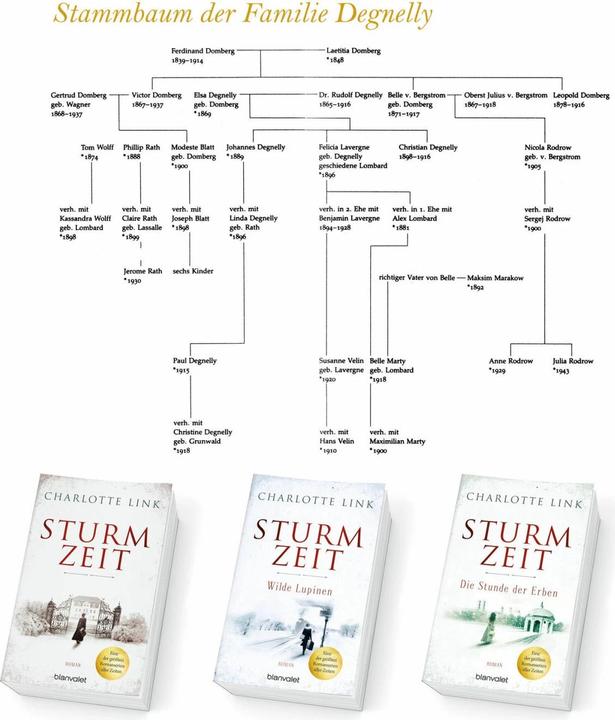 Actual product image Sturmzeit - Wilde Lupinen (German, Charlotte Link, 2018)
