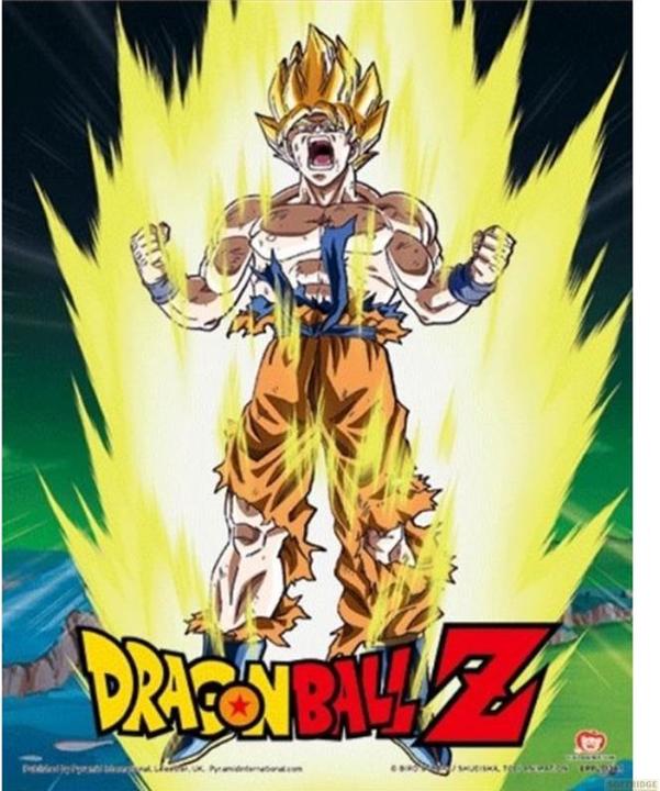 Image du produit Pyramid Framed 3D Cornice Dragon Ball Z Power Levels 26x20cm (26 x 20 cm)