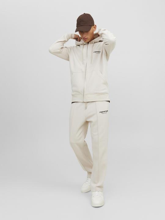 Actual product image Jack & Jones Sweat Hoodie with Zipper (XS)
