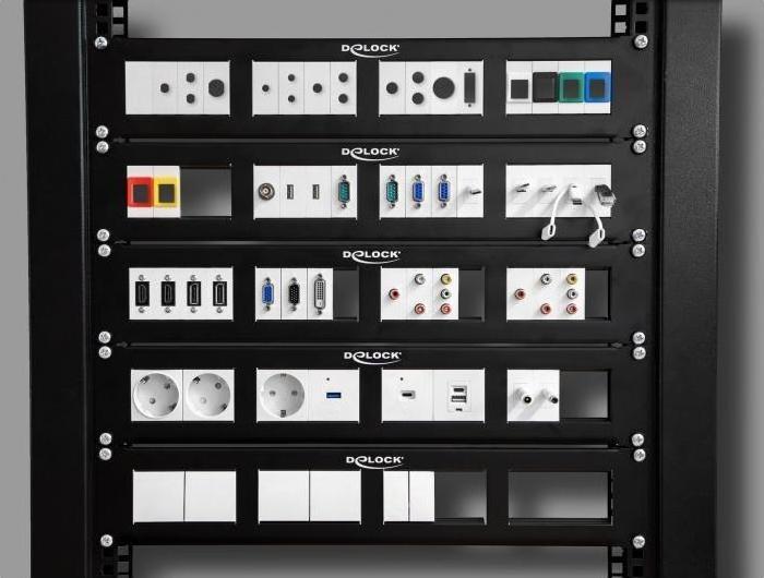 Actual product image Delock Easy 45 module cover hole cut-out Ø 30.2 mm, 45 x 45 mm 5 pieces white (Wall mount)