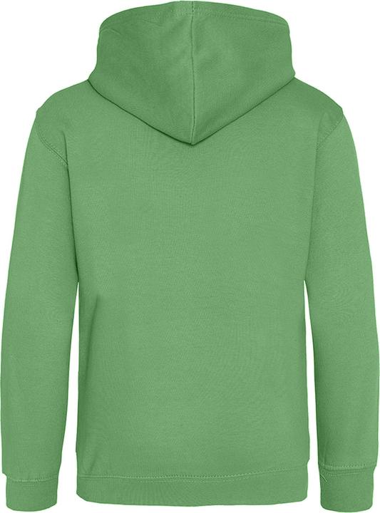 Actual product image Awdis Hooded jumper (116)