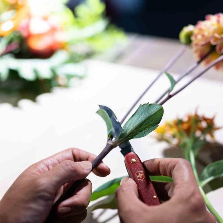 Image du produit Victorinox couteau à fleurs (10 cm)