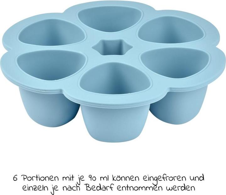 Actual product image Beaba Multiportions