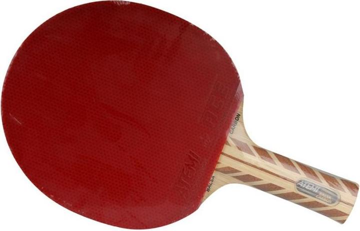 Immagine prodotto Atemi Nuova mazza da tennis da tavolo anatomica 5000 Pro