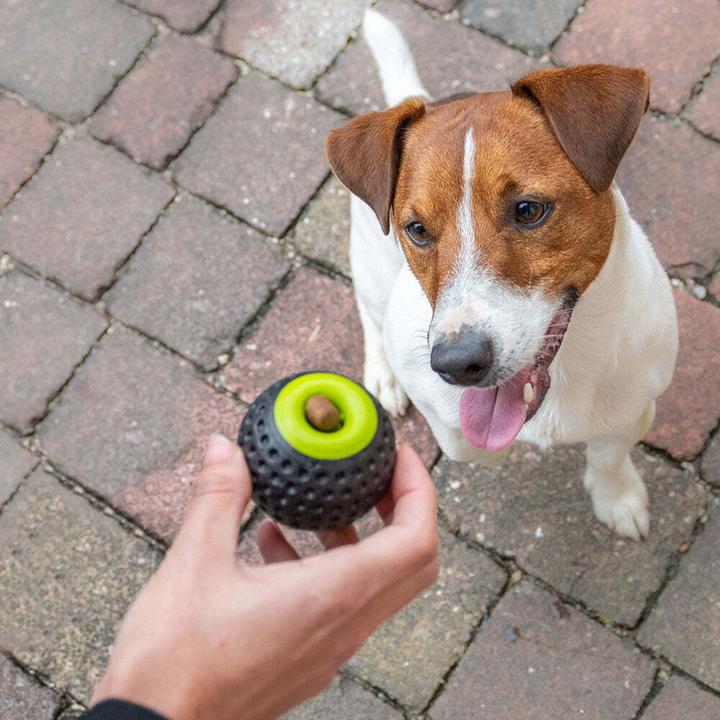 Immagine prodotto Ferplast Chewa Boing (Palla giocattolo per cani)