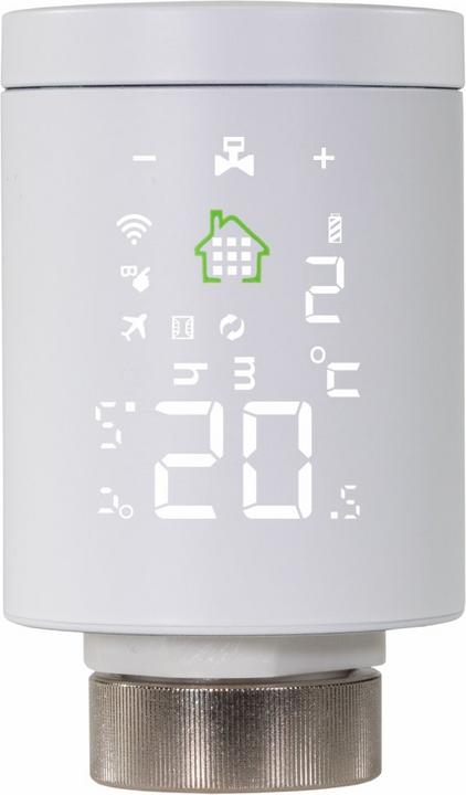 Produktbild Evolveo Ptero EVORVM30 thermostatic radiator valve Suitable for indoor use