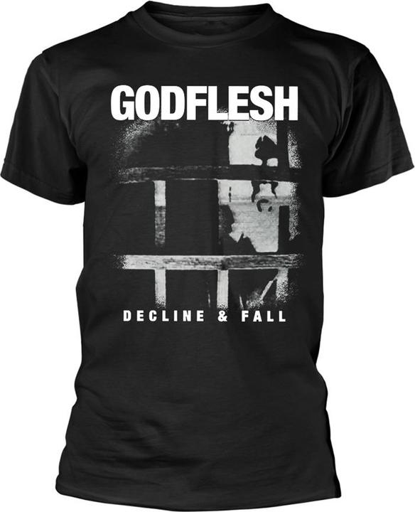 Godflesh Decline & Fall
