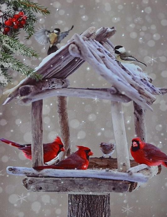 Image du produit GuGus Tableau LED en toile Motif : Maison d'oiseaux 20 Micro lumière (30 x 2 x 40 cm)