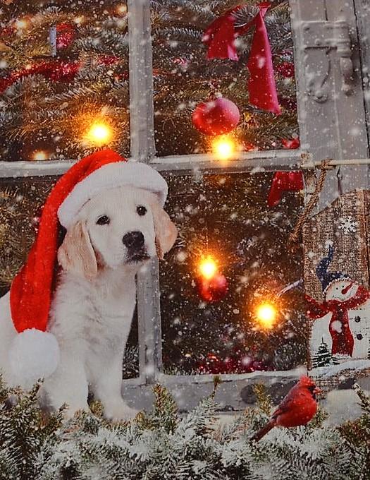 Immagine prodotto GuGus Cane alla finestra (40 x 2 x 30 cm)