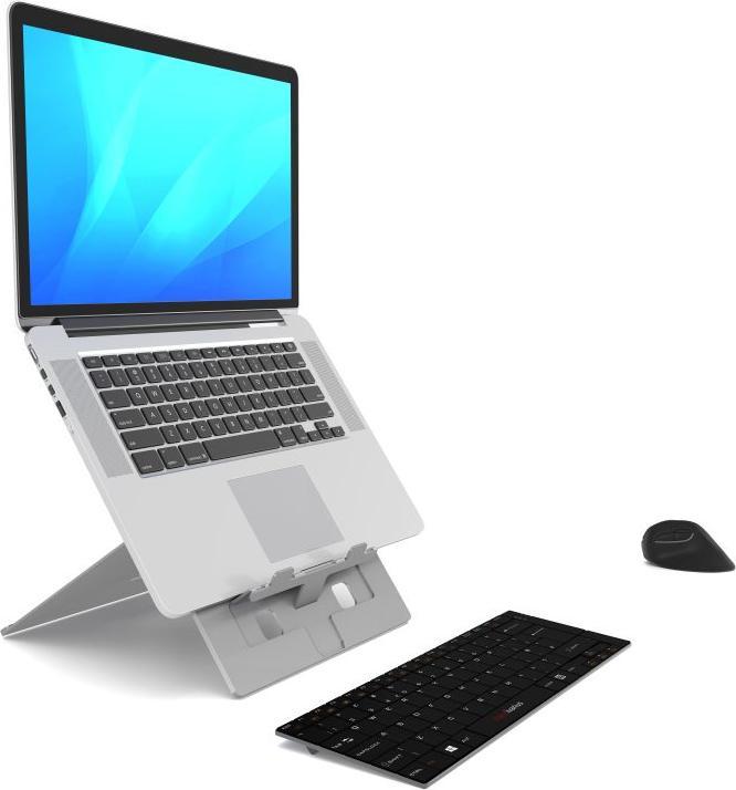 Image du produit Standivarius Type de stand