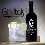 Image du produit Madame Geneva Gin Gin rouge (1 x 70 cl)