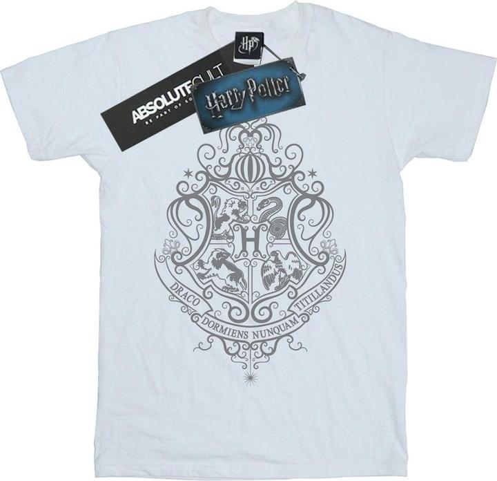 Actual product image Boys Hogwarts Draco Dormiens Crest T-Shirt (116)