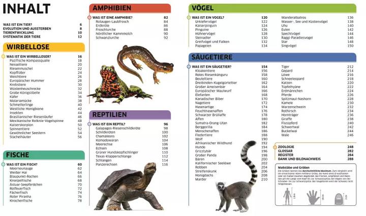 Produktbild Wissen. Tiere (Deutsch, John Woodward, 2017)