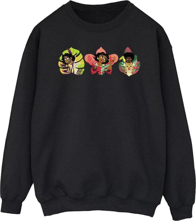 Produktbild Disney Encanto Family Line Sweatshirt (L)