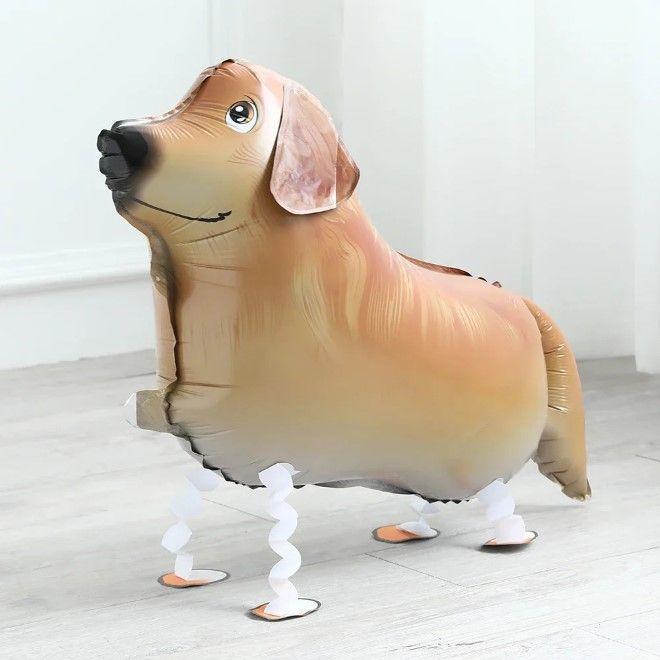 Image du produit MU Classic Ballon Airwalker Chien