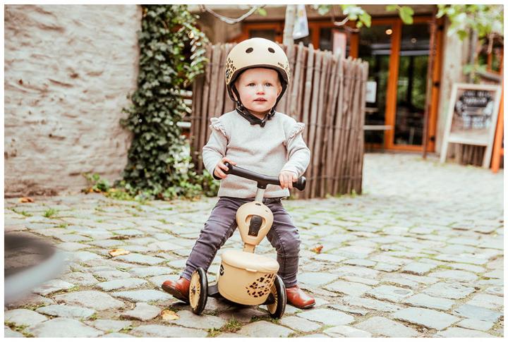 Actual product image Scoot and Ride Highwaykick