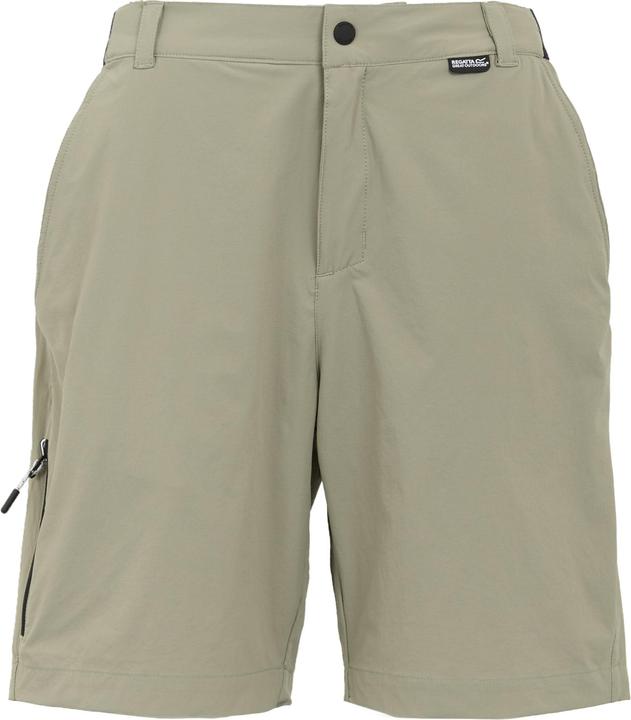 Actual product image Regatta Mens Travel Light Packaway Shorts (34)