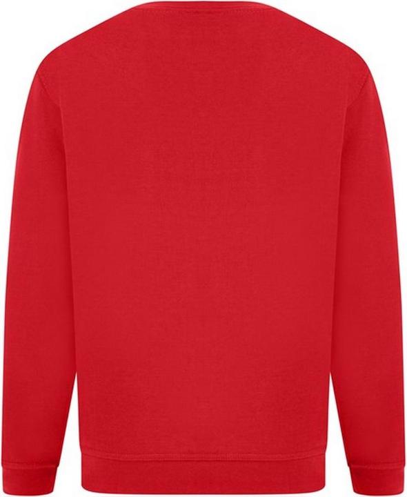 Image du produit Absolute Apparel Pull-over Sterling (3XL)