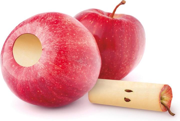 Actual product image Ibili Stainless steel apple corer