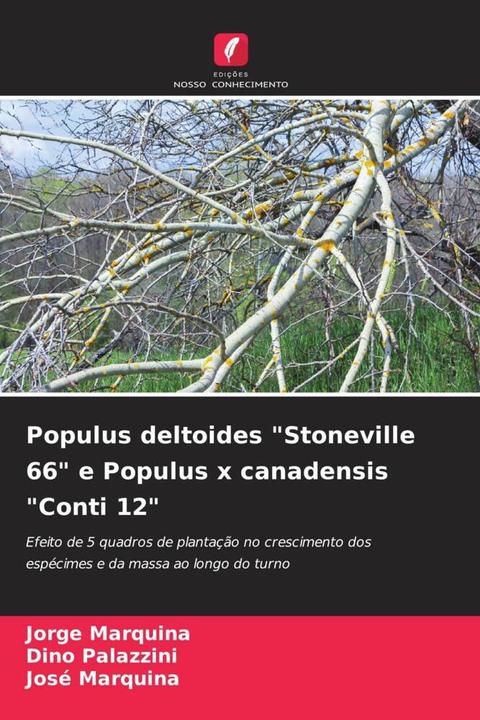 Immagine prodotto Populus deltoides 'Stoneville 66' e Populus x canadensis 'Conti 12' (Jorge Marquina, José Marquina, Dino Palazzini, 2023)