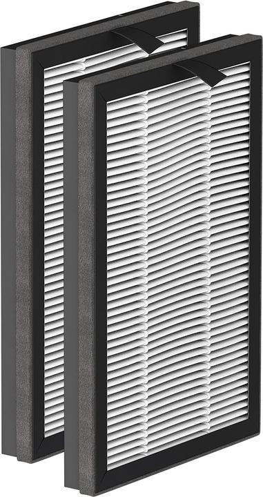 Rowenta XD6520F0 Luftreinigerzubehör Luftreinigerfilter (1 x)