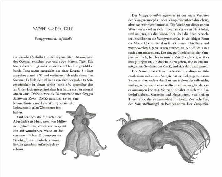 Image du produit Die seltsamsten Tiere der Welt – Skurrile Schöpfungen der Evolution. Tierporträts, die Darwin und (Allemand, Lisa Signorile, 2019)