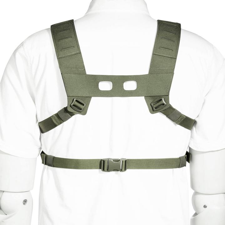 Image du produit Tasmanian Tiger TT Small Combi Rig Vert olive