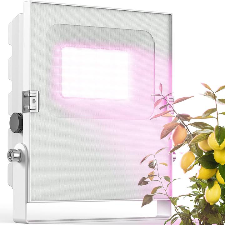 Actual product image Meine Orangerie 35.0 Watt (LED, 230 V)